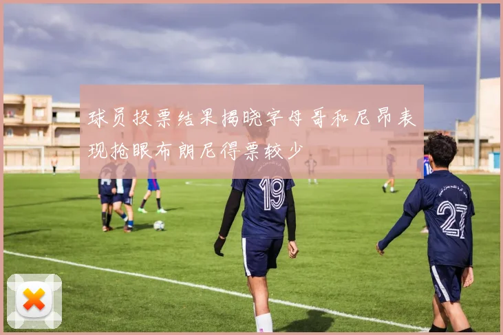 球员投票结果揭晓字母哥和尼昂表现抢眼布朗尼得票较少