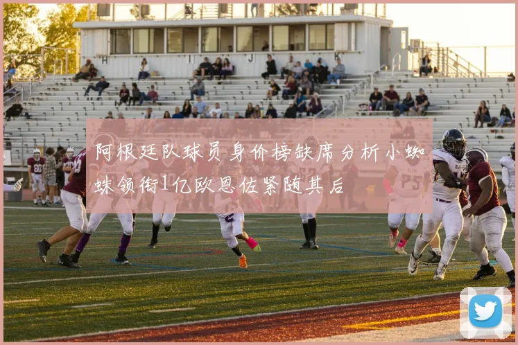 阿根廷队球员身价榜缺席分析小蜘蛛领衔1亿欧恩佐紧随其后