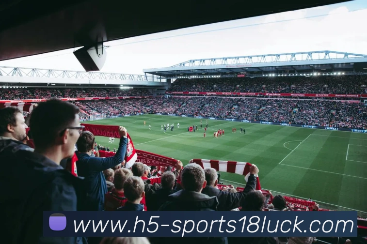 18新利体育发展历程